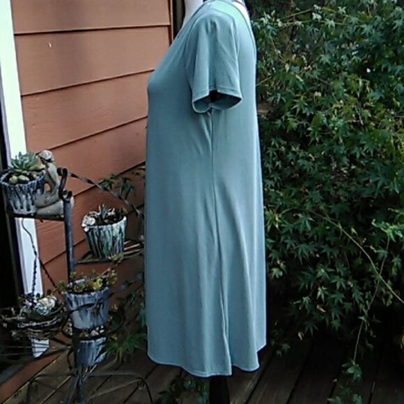 Alya Shift Dress  - Picture 4 of 10